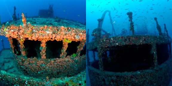 Dive With South Florida Diving Headquarters